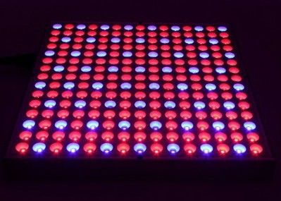 38W 0.5m2 / 0.3m Hydroponics LED Grow Lights 45W Flat Panel گیاهان داخلی