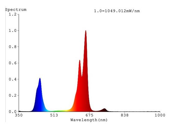650umol / 0.5m 504w گیاهی با چراغ رشد چراغ کامل طیف بلال در محیط داخلی 1m2