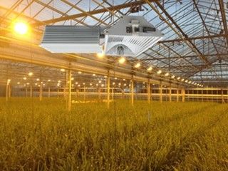 155lm/w 160000lm چراغهای رشد داخل ، 1000W HPS چراغهای رشد