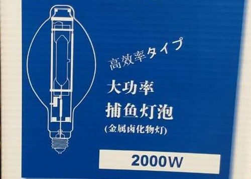 BT220 2000w MH Bulb Fish Lamp چراغ ماهیگیری HID Metal Halide Squid