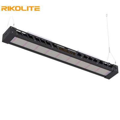 SMD3030 IP65 300w Lights Spectrum Grow Light، 1450umol/s LED Light Light Fixture