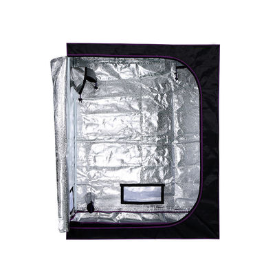 PVEA Hydroponic Grow Tent، 4X2 "Litchi Diffused Pattern Indoor گیاهی چادر گیاه