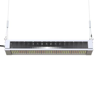 RikoLite 240W Full Spectrum LED Grow Light Slim Bar ، چراغ های رشد AL1100 باغبانی LED