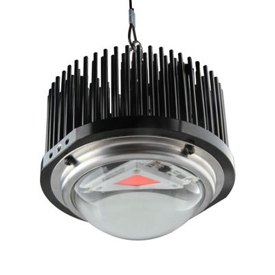50W DOB چراغهای رشد خانگی ، کیتهای سبک Cob 1M2 Spectrum Grow