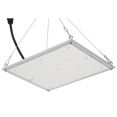 RikoLite 100W 277vac Hydroponics Led Grow Lights Quantum Board 167.3umol / S