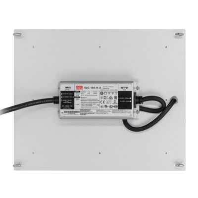 RikoLite 100W 277vac Hydroponics Led Grow Lights Quantum Board 167.3umol / S