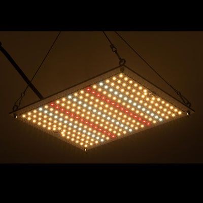 RikoLite 100W 277vac Hydroponics Led Grow Lights Quantum Board 167.3umol / S