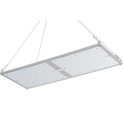 سیستم های کشت هیدروپونیک برد کوانتومی گیاه دارویی Rikolite 200w