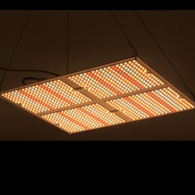 Rikolite 400w High Power Led Grow Lights ، 149.6m/W کارخانه هیدروپونیک نور رشد می کند
