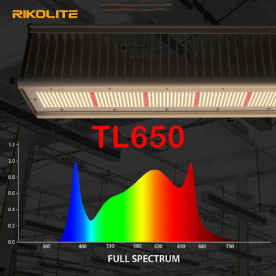 TL650 PAR 1755umol / S چراغهای گلخانه ای گلخانه ای 630W برای سبزیجات / گل