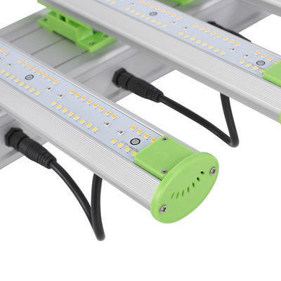 520μmol 200W LED نور داخلی 660nm PAR طیف کامل نور برای گیاهان رشد می کند