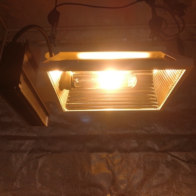 لامپ رشد افقی Air PAR Plus CMH 150W برای چادر رشد 2X2