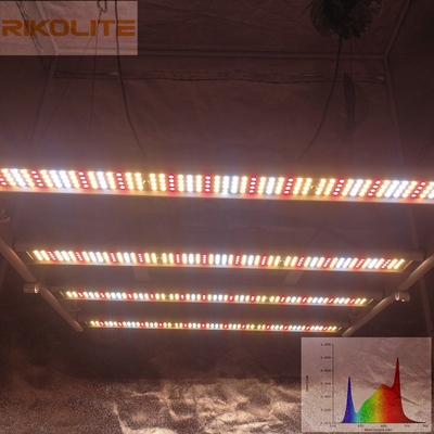 گلکسی 2835SMD LED 240 واتی 4 میله تاشو گیاهان رشد چراغ 0 - 10 ولت کم نور