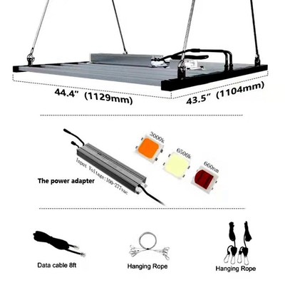نوار نور LED Grow 2000umol/S 1000 Watt نوار نور LED رشد برای کشاورزی عمودی