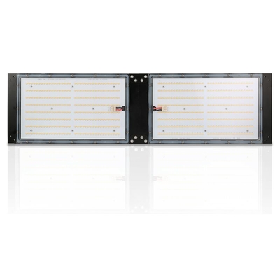 ضد آب IP65 LED Herb Grow Light 240W SAMSUNG Quantum Board for Agricultural