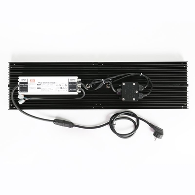 ضد آب IP65 LED Herb Grow Light 240W SAMSUNG Quantum Board for Agricultural