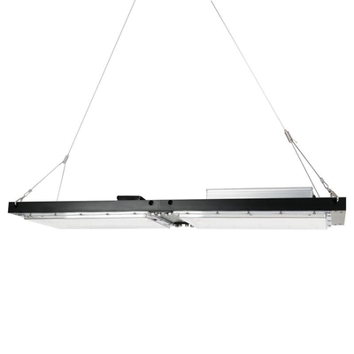ضد آب IP65 LED Herb Grow Light 240W SAMSUNG Quantum Board for Agricultural