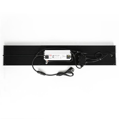 چراغ های رشد LED کوانتومی هیدروپونیک IP65 320w با طیف کامل برای سبزیجات