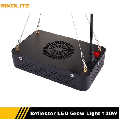 چراغ‌های رشد گیاهان داخلی 120w 510umol، چراغ‌های رشد آبی با طیف کامل