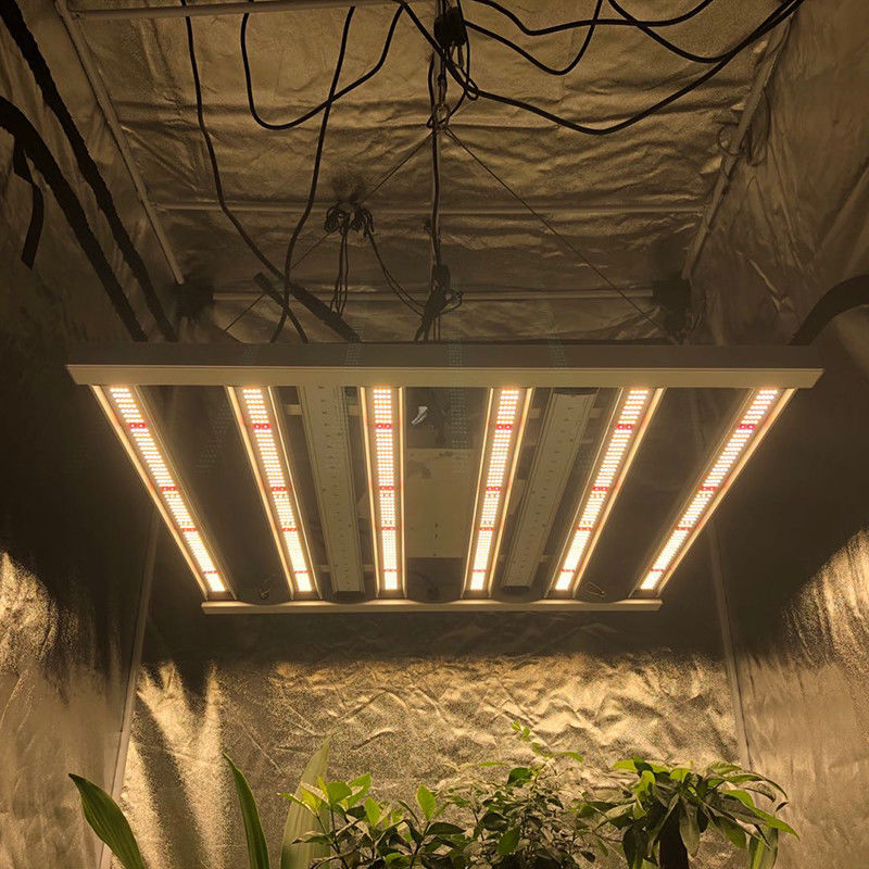 35 سانتیگراد باغبانی چراغ های رشد چراغ رشد 480W 6 ستون 2.6μMol / J Lights Bar