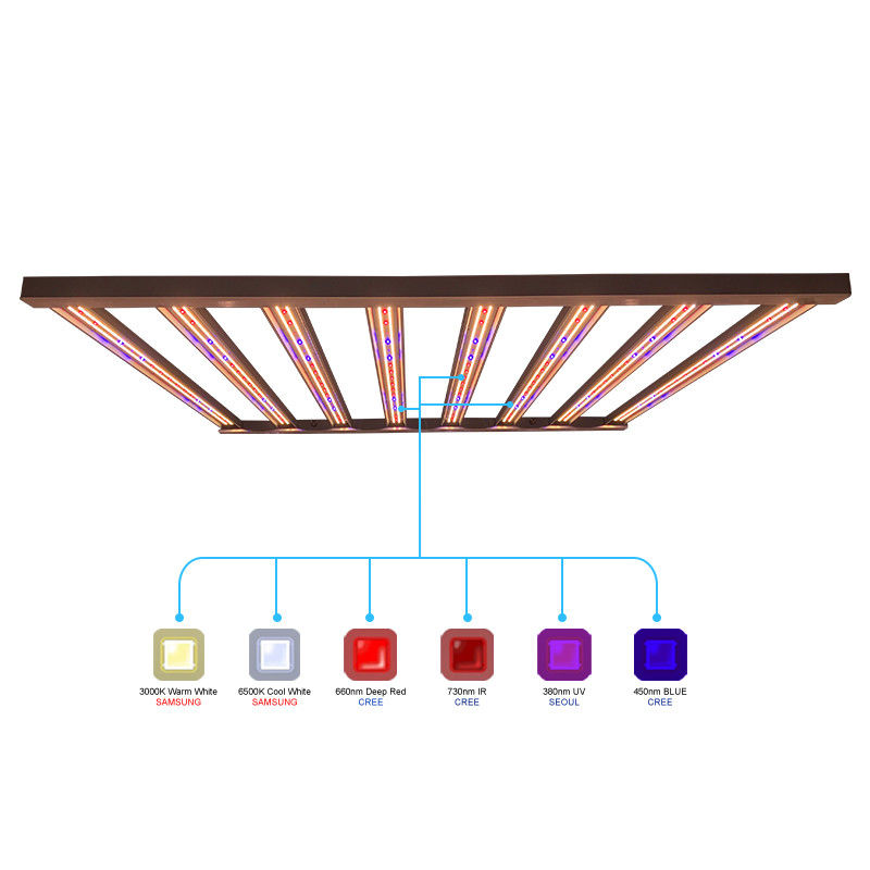 960 وات 1000 وات گیاهان داخلی چراغ رشد LED برای پوشش 6x6 Samsung LM301B